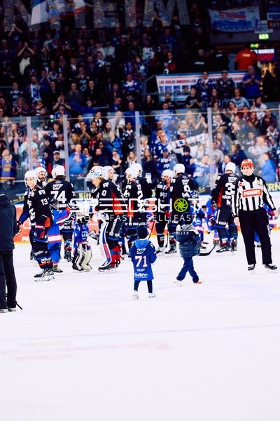 Adler Mannheim vs Schwenninger Wild Wings | 19.01.2024