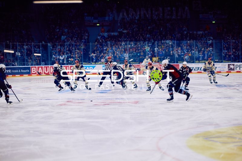 Adler Mannheim vs Schwenninger Wild Wings | 19.01.2024