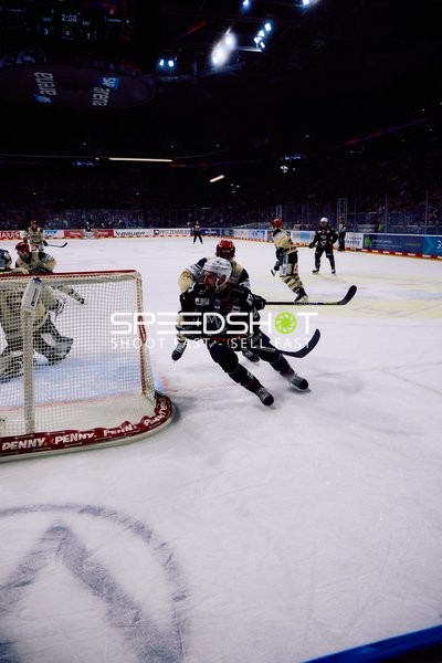 Adler Mannheim vs Schwenninger Wild Wings | 19.01.2024