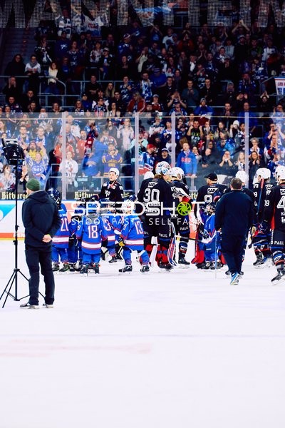 Adler Mannheim vs Schwenninger Wild Wings | 19.01.2024