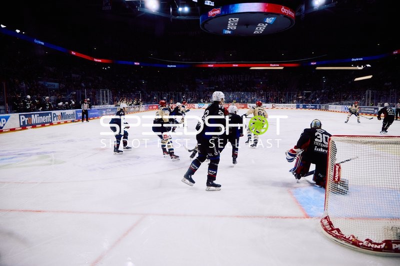 Adler Mannheim vs Schwenninger Wild Wings | 19.01.2024