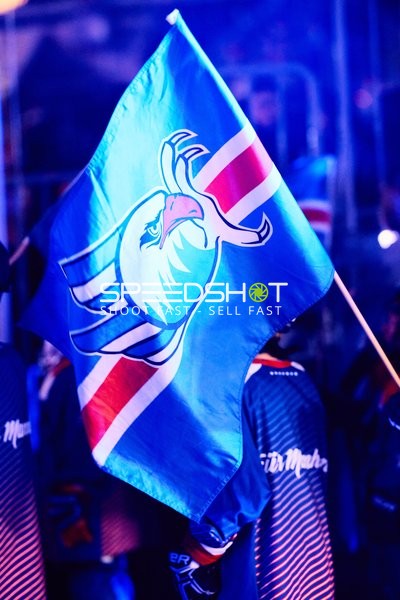 Adler Mannheim vs Schwenninger Wild Wings | 19.01.2024