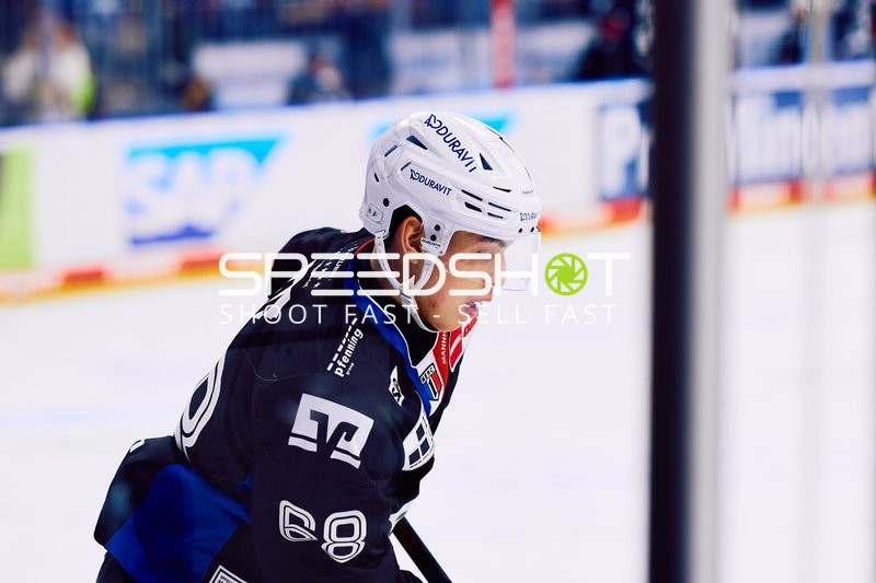 Adler Mannheim vs Schwenninger Wild Wings | 19.01.2024
