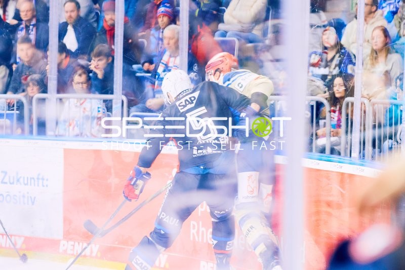 Adler Mannheim vs Schwenninger Wild Wings | 19.01.2024