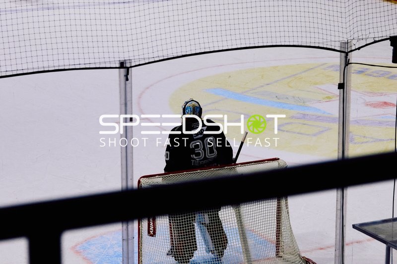 Adler Mannheim vs Schwenninger Wild Wings | 19.01.2024