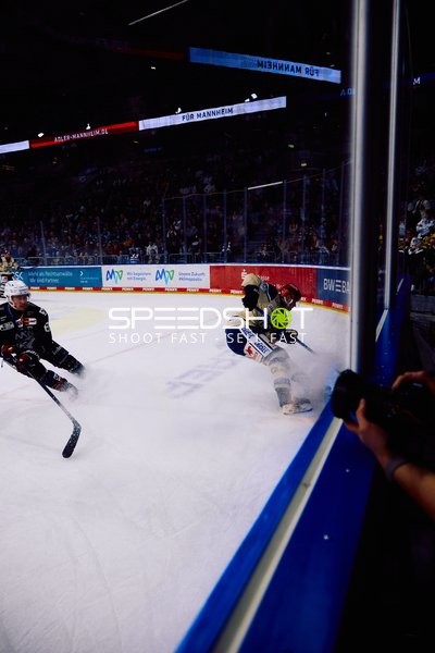 Adler Mannheim vs Schwenninger Wild Wings | 19.01.2024