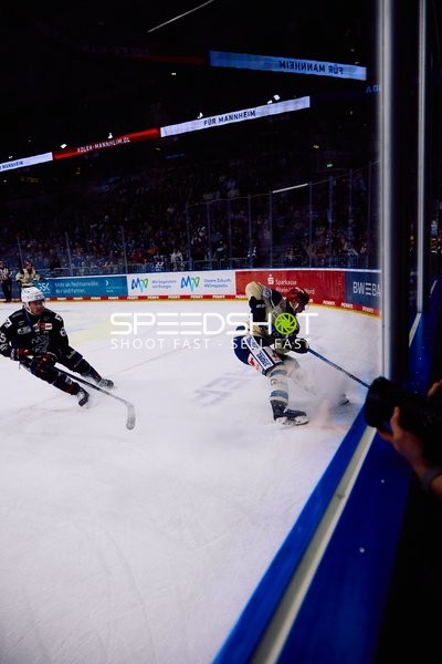 Adler Mannheim vs Schwenninger Wild Wings | 19.01.2024