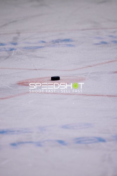 Adler Mannheim vs Schwenninger Wild Wings | 19.01.2024