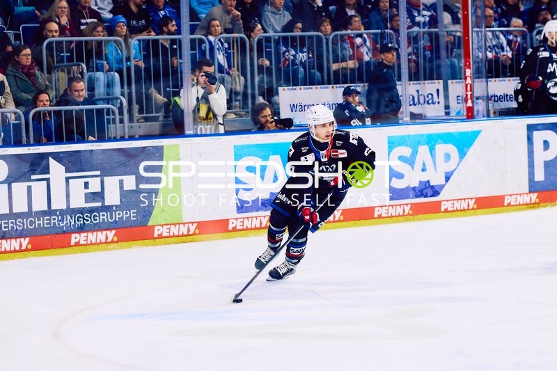 Adler Mannheim vs Schwenninger Wild Wings | 19.01.2024