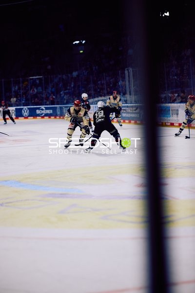 Adler Mannheim vs Schwenninger Wild Wings | 19.01.2024