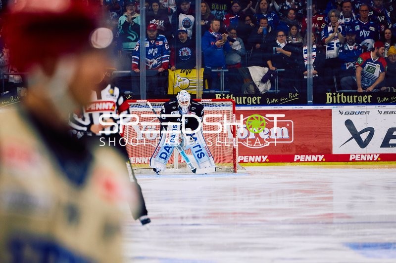 Adler Mannheim vs Schwenninger Wild Wings | 19.01.2024