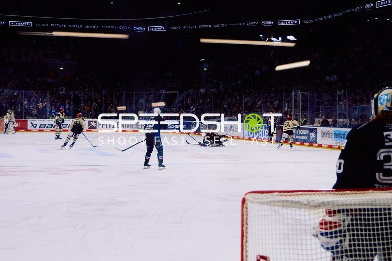 Adler Mannheim vs Schwenninger Wild Wings | 19.01.2024