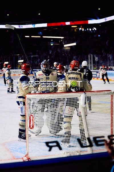 Adler Mannheim vs Schwenninger Wild Wings | 19.01.2024