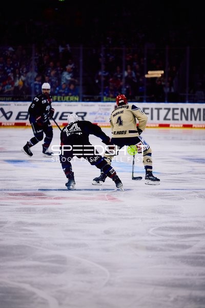 Adler Mannheim vs Schwenninger Wild Wings | 19.01.2024