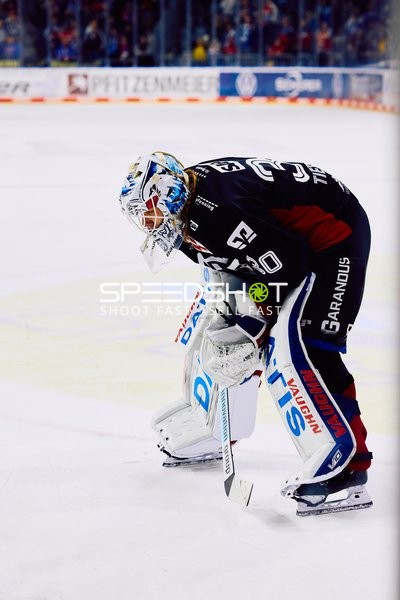 Adler Mannheim vs Schwenninger Wild Wings | 19.01.2024