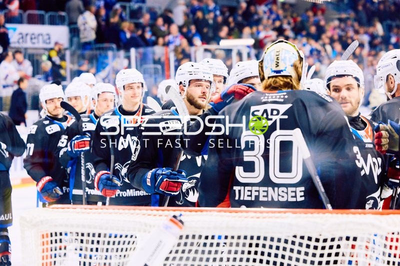 Adler Mannheim vs Schwenninger Wild Wings | 19.01.2024