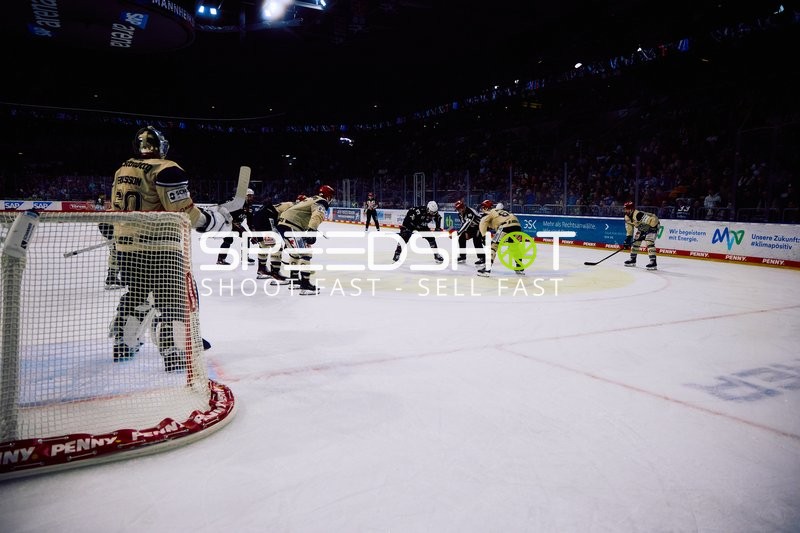 Adler Mannheim vs Schwenninger Wild Wings | 19.01.2024