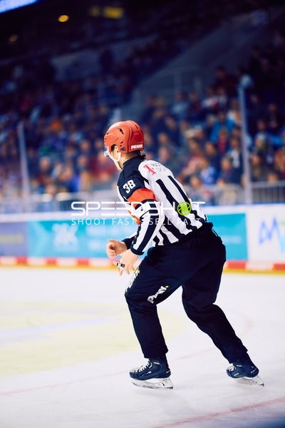 Adler Mannheim vs Schwenninger Wild Wings | 19.01.2024