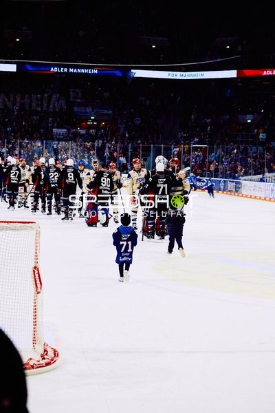 Adler Mannheim vs Schwenninger Wild Wings | 19.01.2024