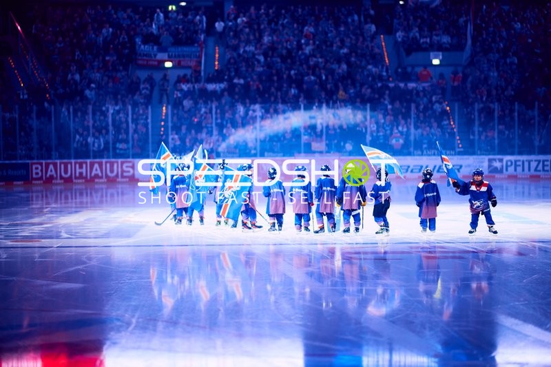 Adler Mannheim vs Schwenninger Wild Wings | 19.01.2024