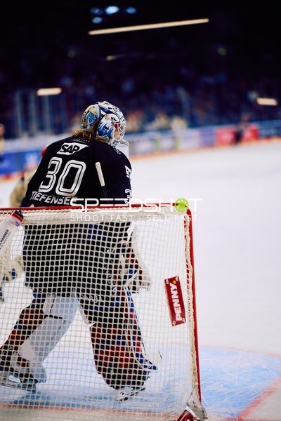 Adler Mannheim vs Schwenninger Wild Wings | 19.01.2024