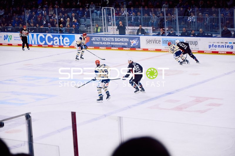 Adler Mannheim vs Schwenninger Wild Wings | 19.01.2024