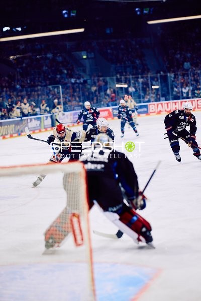 Adler Mannheim vs Schwenninger Wild Wings | 19.01.2024