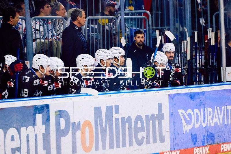 Adler Mannheim vs Schwenninger Wild Wings | 19.01.2024