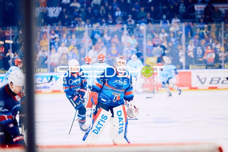 Adler Mannheim vs Schwenninger Wild Wings | 19.01.2024