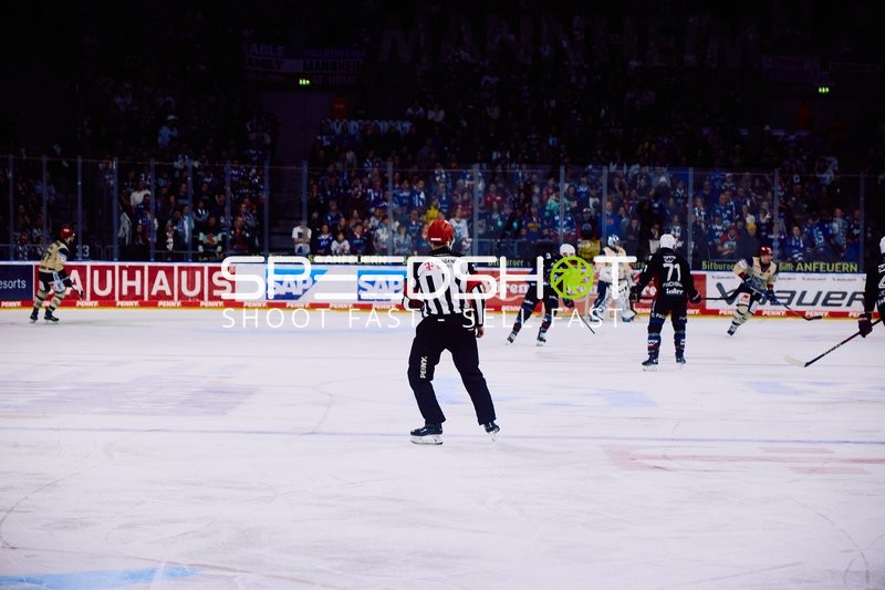 Adler Mannheim vs Schwenninger Wild Wings | 19.01.2024