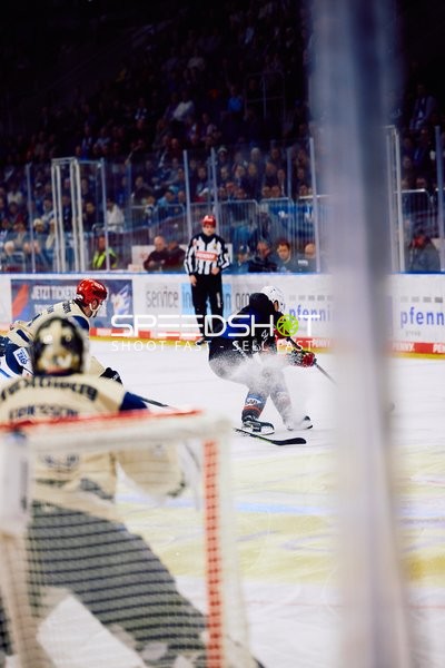 Adler Mannheim vs Schwenninger Wild Wings | 19.01.2024