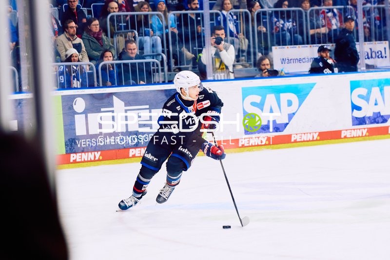 Adler Mannheim vs Schwenninger Wild Wings | 19.01.2024