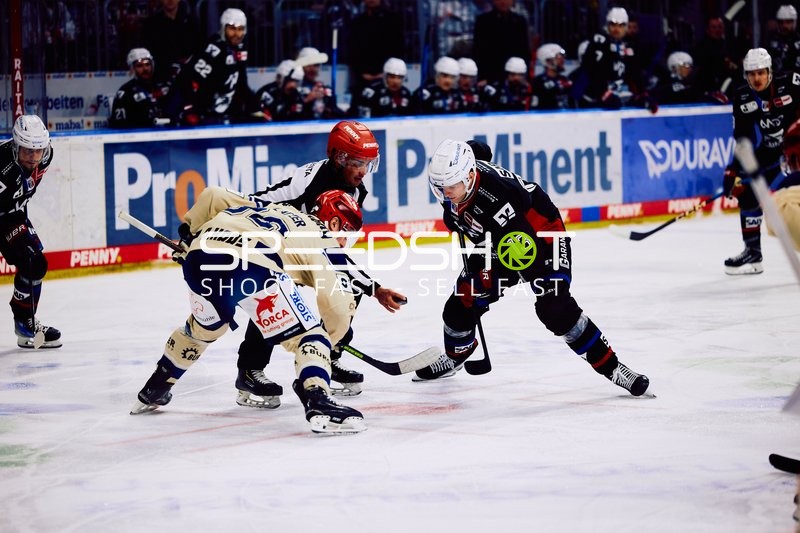 Adler Mannheim vs Schwenninger Wild Wings | 19.01.2024