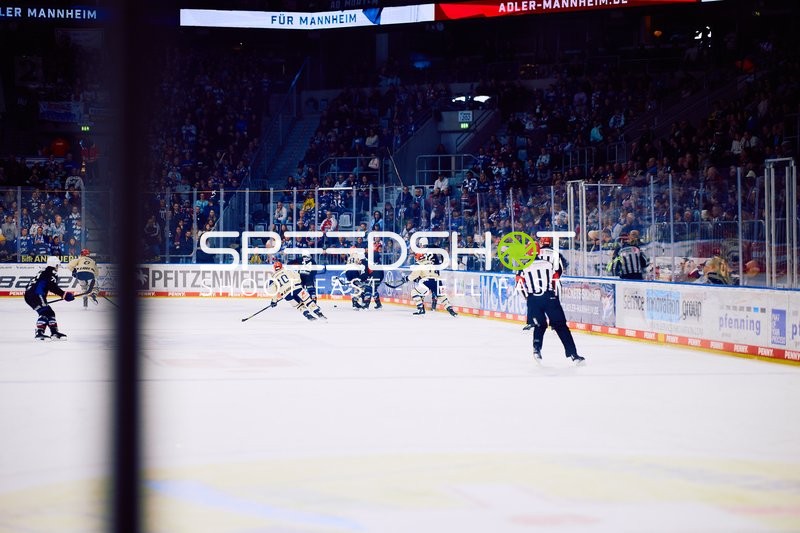 Adler Mannheim vs Schwenninger Wild Wings | 19.01.2024