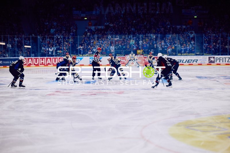 Adler Mannheim vs Schwenninger Wild Wings | 19.01.2024