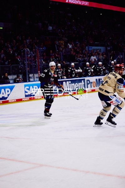 Adler Mannheim vs Schwenninger Wild Wings | 19.01.2024