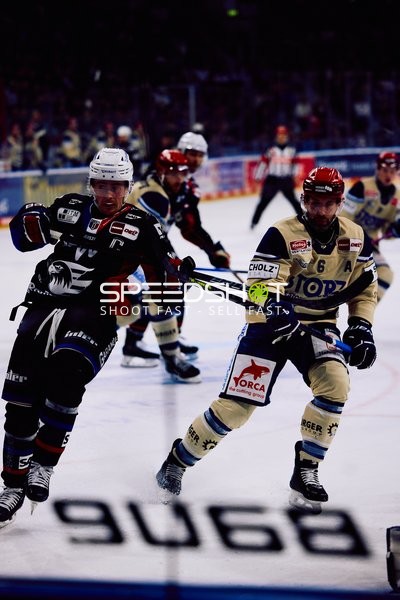 Adler Mannheim vs Schwenninger Wild Wings | 19.01.2024