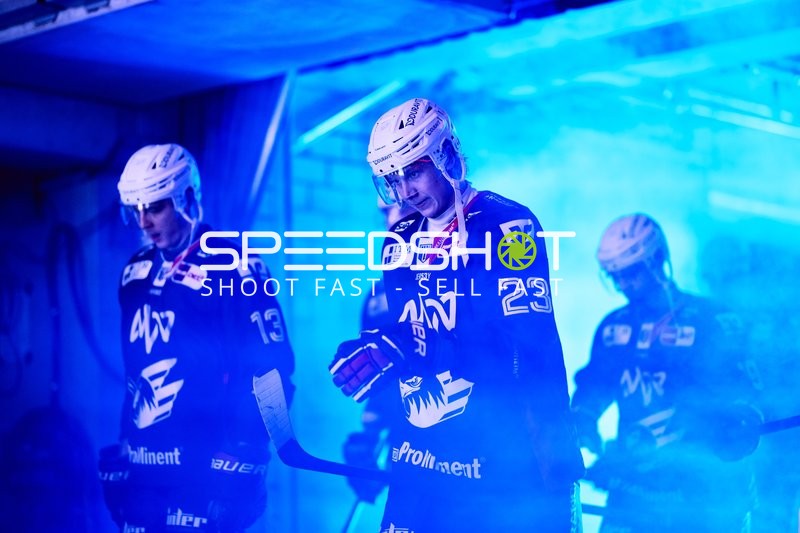 Adler Mannheim vs Schwenninger Wild Wings | 19.01.2024