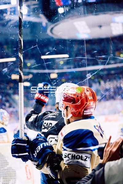 Adler Mannheim vs Schwenninger Wild Wings | 19.01.2024