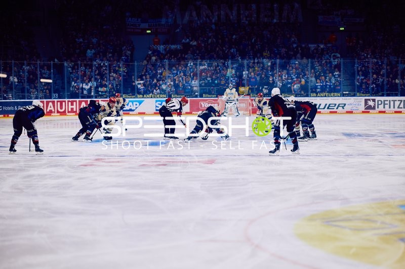 Adler Mannheim vs Schwenninger Wild Wings | 19.01.2024