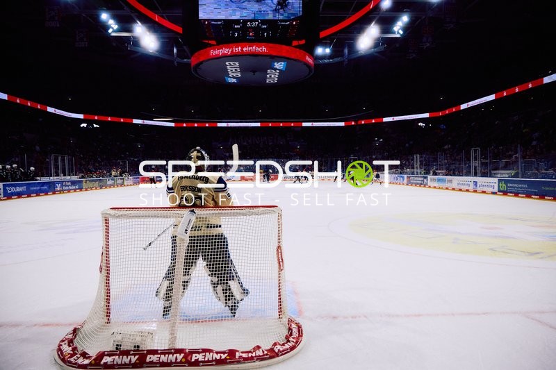 Adler Mannheim vs Schwenninger Wild Wings | 19.01.2024