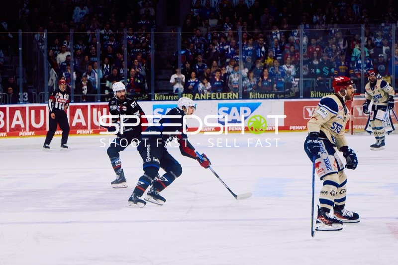 Adler Mannheim vs Schwenninger Wild Wings | 19.01.2024