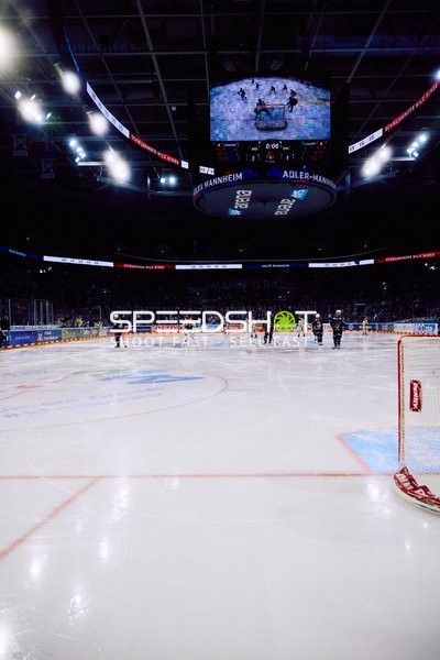 Adler Mannheim vs Schwenninger Wild Wings | 19.01.2024