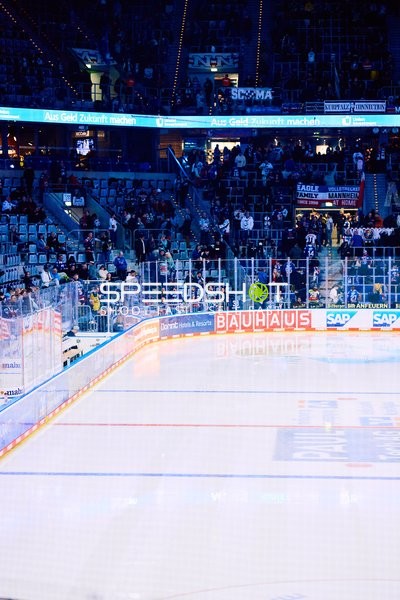 Adler Mannheim vs Schwenninger Wild Wings | 19.01.2024