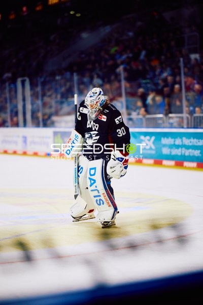 Adler Mannheim vs Schwenninger Wild Wings | 19.01.2024