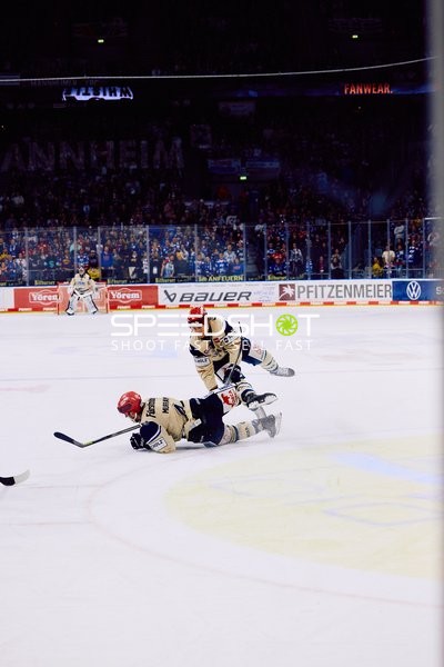 Adler Mannheim vs Schwenninger Wild Wings | 19.01.2024