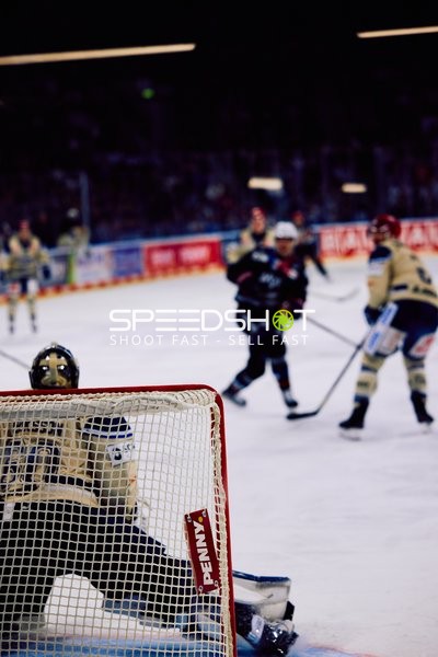 Adler Mannheim vs Schwenninger Wild Wings | 19.01.2024