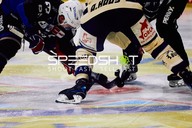 Adler Mannheim vs Schwenninger Wild Wings | 19.01.2024