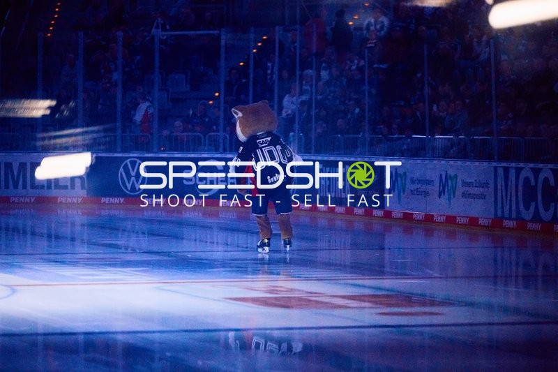 Adler Mannheim vs Schwenninger Wild Wings | 19.01.2024