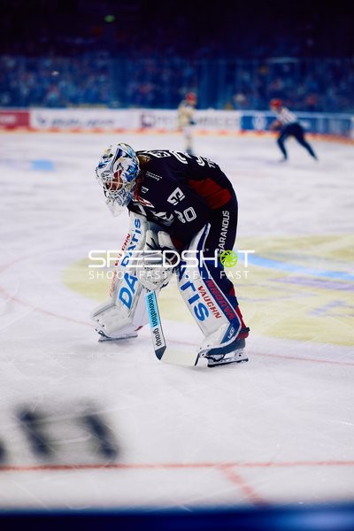 Adler Mannheim vs Schwenninger Wild Wings | 19.01.2024